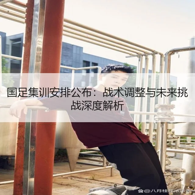 国足集训安排公布:战术调整与未来挑战深度解析